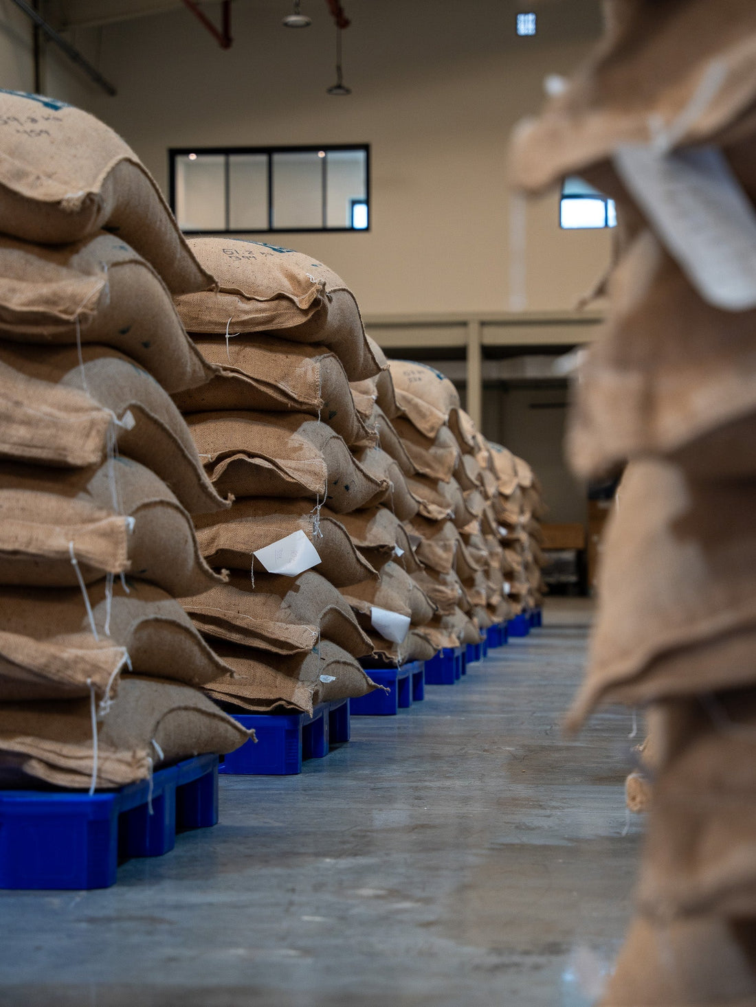 What Makes Auro Coffee the UAE’s Favorite Destination for True Coffee Lovers