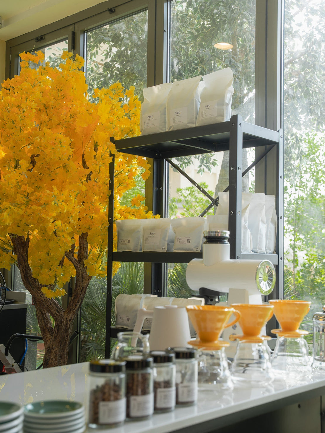 What Are Fruity Notes in Coffee? Exploring Flavors in Auro’s Ethiopian Beans