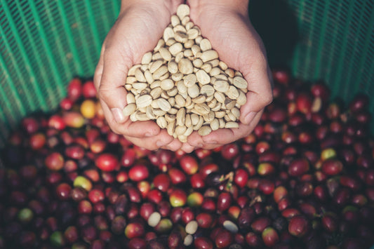 5 Must-Try Coffee Recipes Using Our Freshly Roasted Ethiopian Coffee Beans