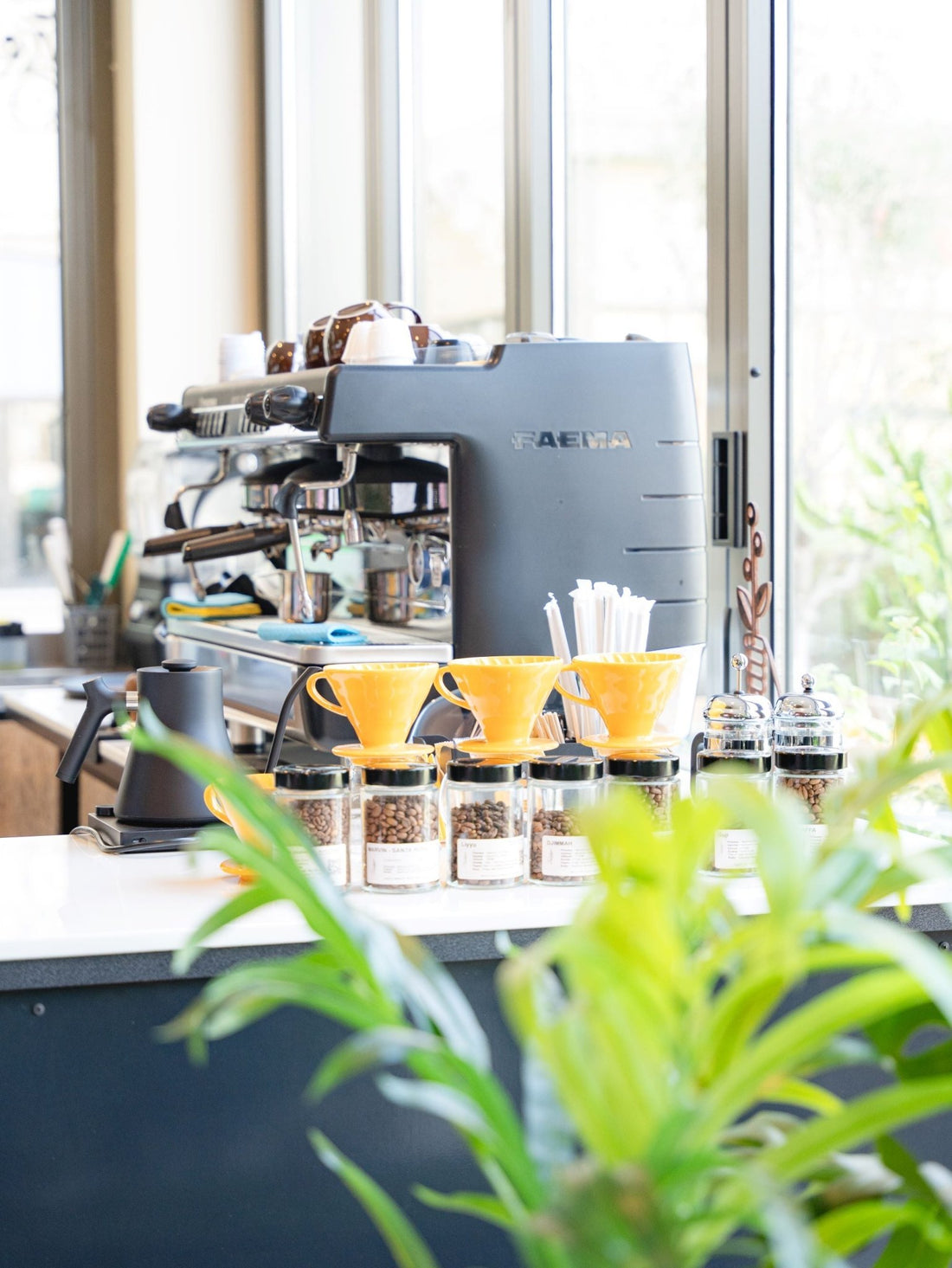 The Science Behind Coffee: What Makes It So Addictive? - Auro Coffee