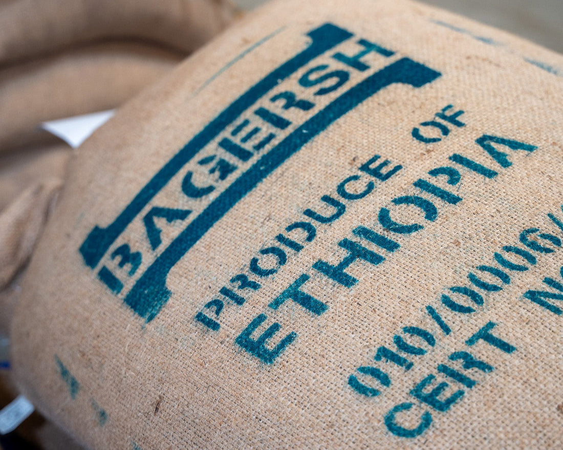 Why Ethiopian Coffee Has One of the Highest Antioxidant Levels in the World