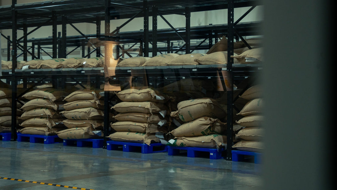 Why Coffee Tastes Different in the UAE: Climate, Water & Storage Explained