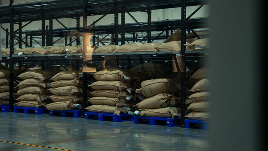 Why Coffee Tastes Different in the UAE: Climate, Water & Storage Explained