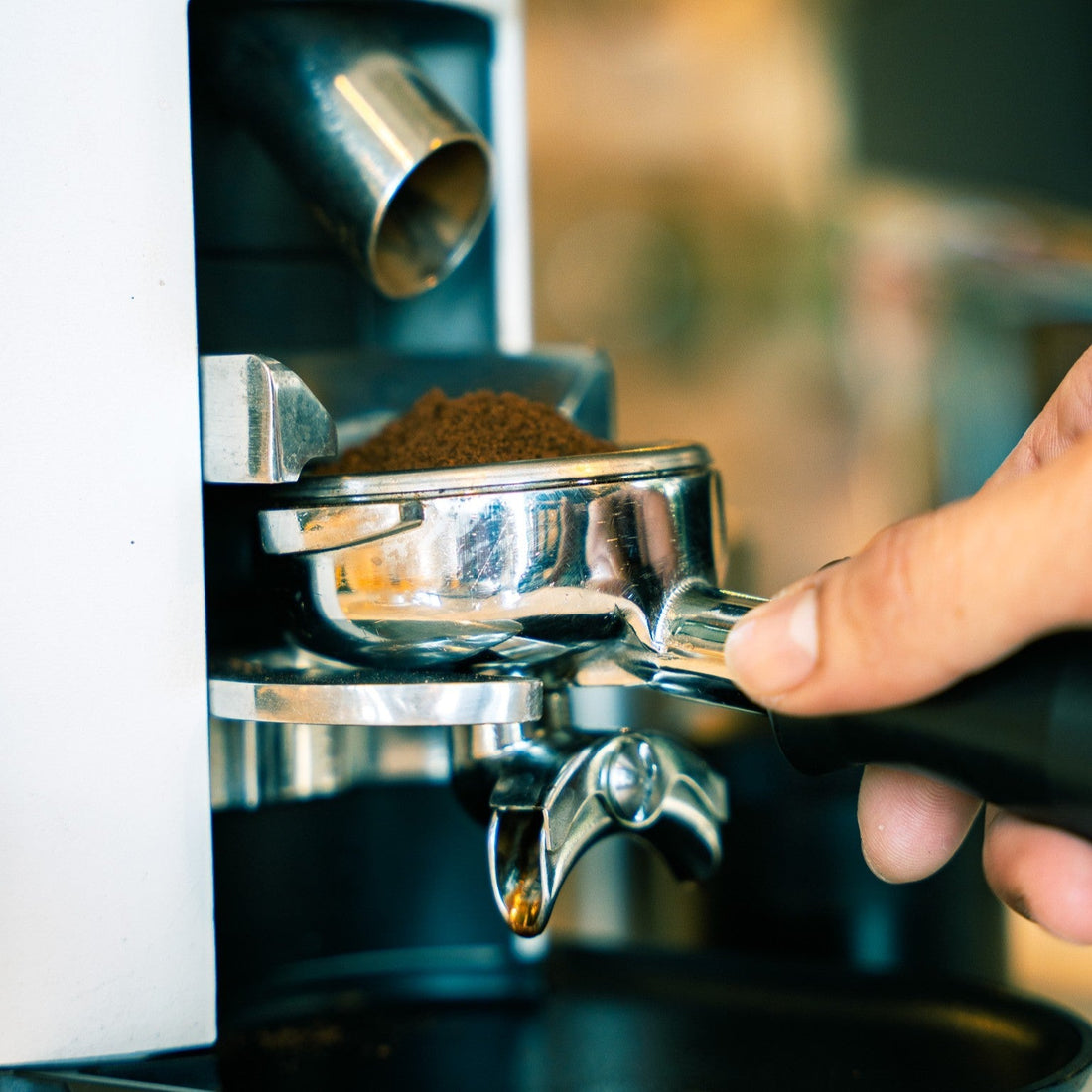 10 Coffee Flavors Explained: What “Fruity,” “Nutty,” or “Chocolatey” Actually Mean