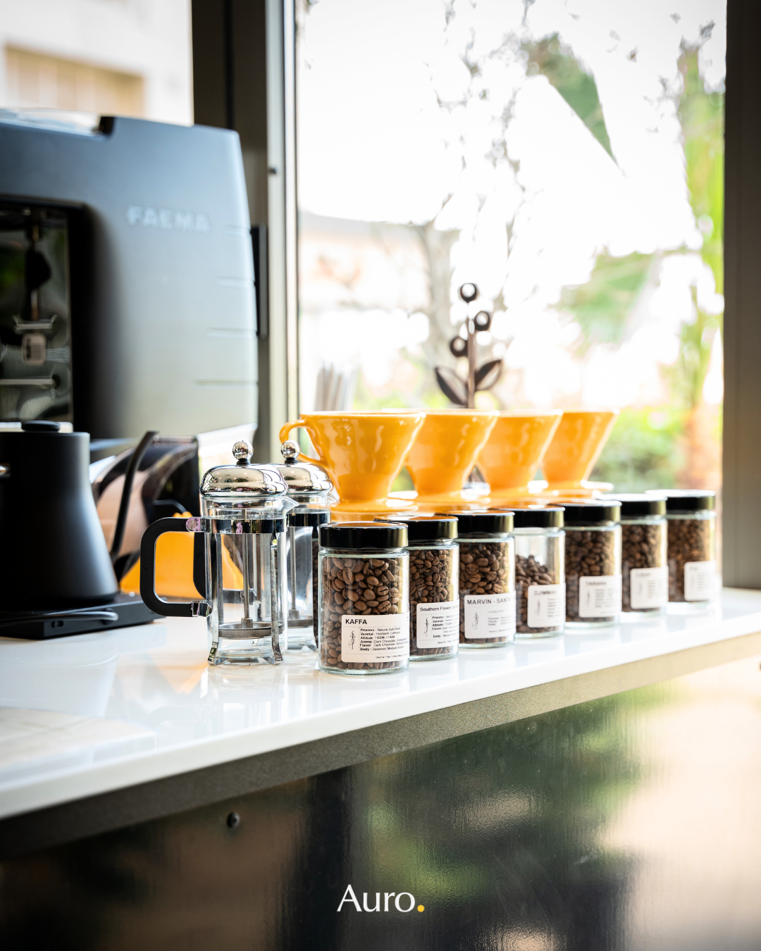 coffee bar of auro cafe with coffee beans types on display in clear glass containers