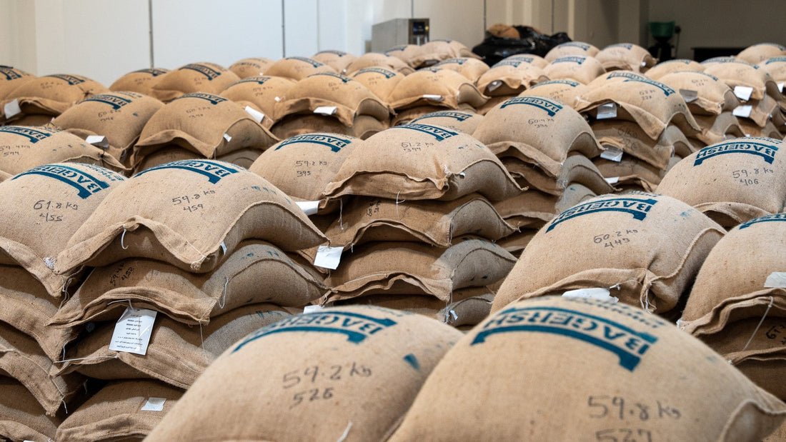 How Auro Coffee Supports Sustainable Sourcing from Ethiopian Farmers