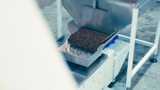 What to Look for in a Coffee Roasting Service Provider