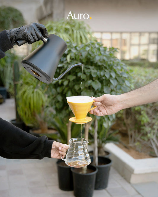 V60 vs French Press: Which Brewing Method Makes Better Coffee?