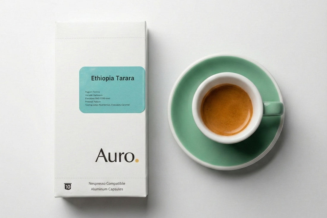 Capsule Coffee vs Café Espresso: What’s the Real Difference?