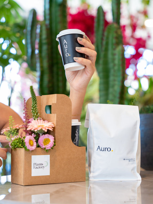 Everything You Need to Know About Specialty Coffee - Auro Coffee