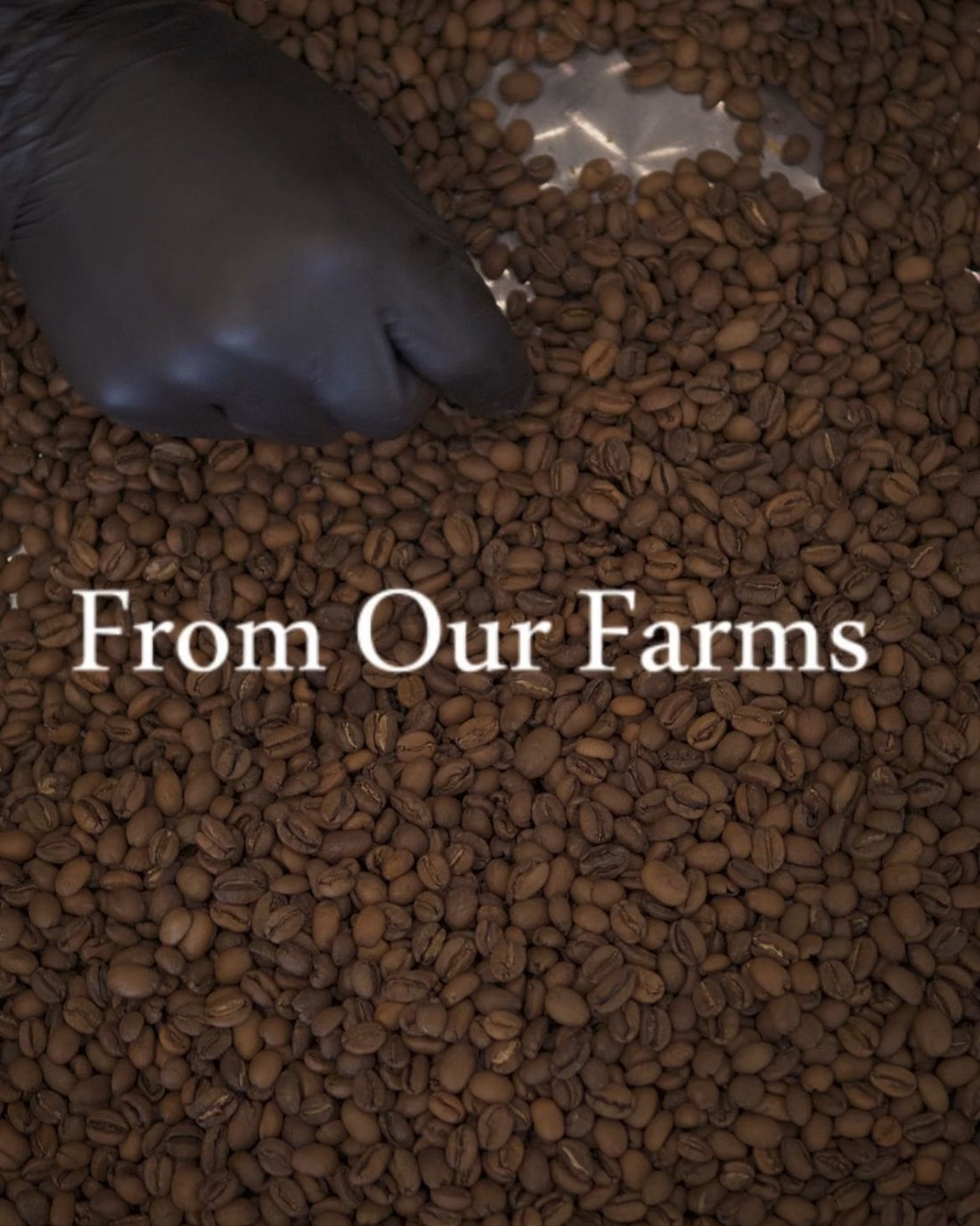 Is Cold Brew Coffee Better Than Iced Coffee? - Auro Coffee