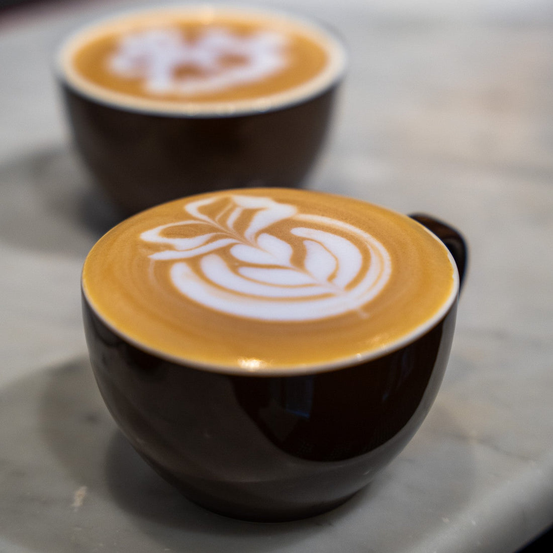 Why Choose Auro Premium Coffee: Premium Ethiopian Beans in the UAE - Auro Coffee