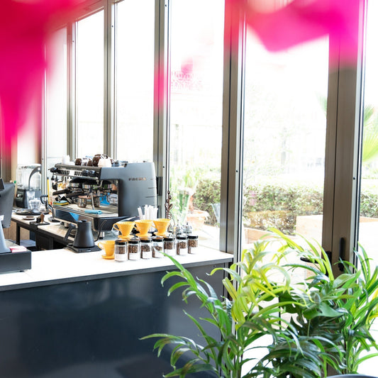 Why Specialty Coffee Is Worth the Hype - Auro Coffee