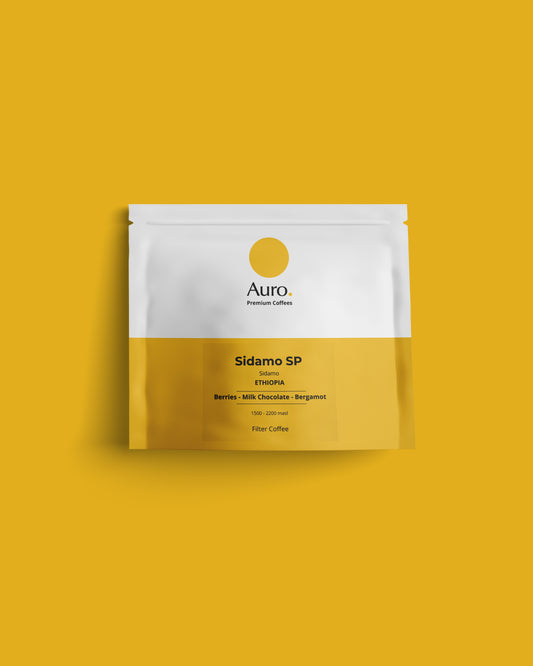 Sidamo SP Filter