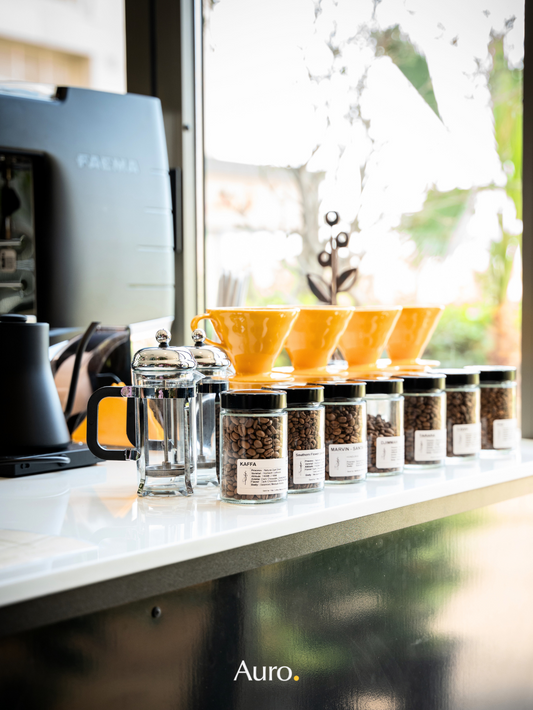 Introduction to Coffee Course